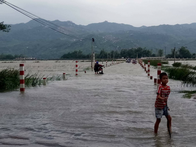 Hoc-sinh-Binh-Dinh-nghi-hoc-tranh-bao-1