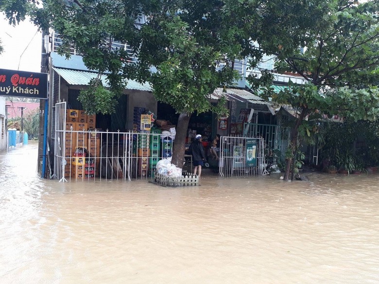 Bien-lu-nhan-chim-QL1-Da-Nang-giao-thong-te-liet-9