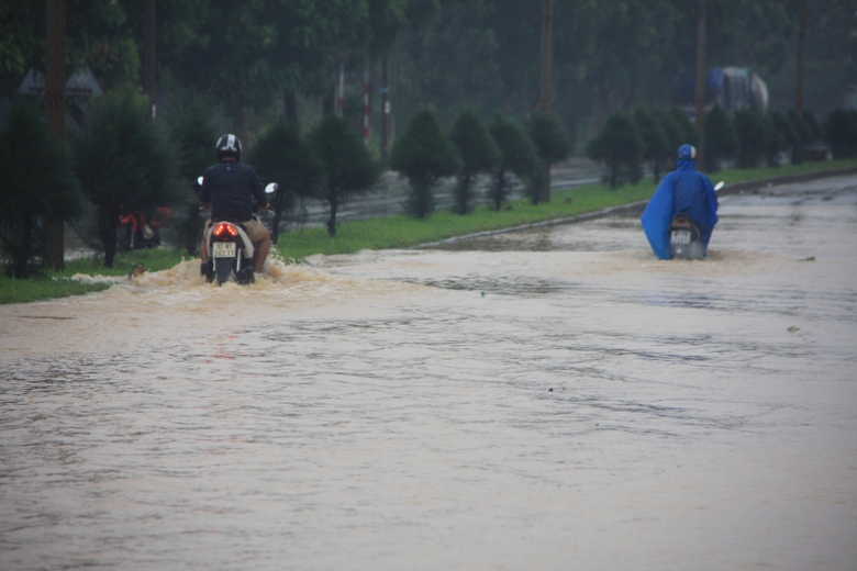 Bien-lu-nhan-chim-QL1-Da-Nang-giao-thong-te-liet-1