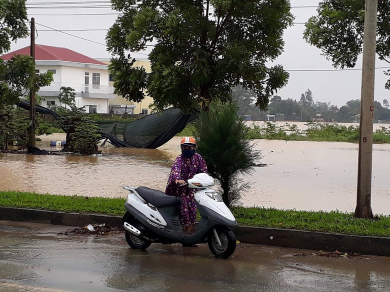 Bien-lu-nhan-chim-QL1-Da-Nang-giao-thong-te-liet-2