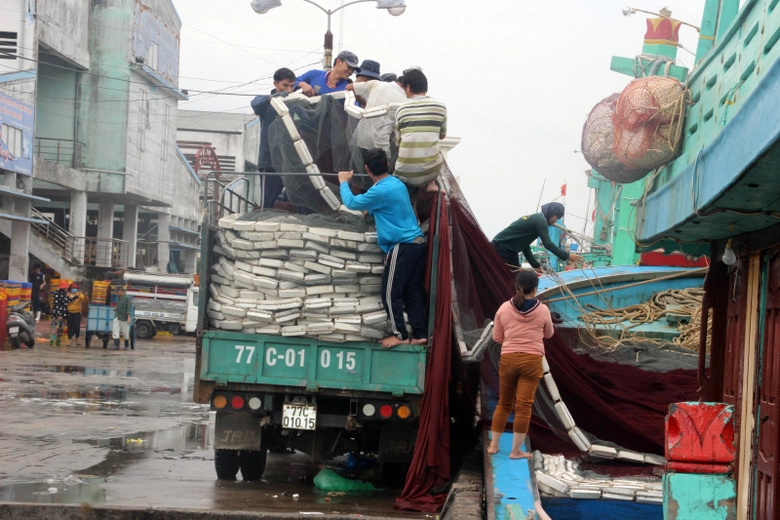 Ngu-dan-Da-Nang-trung-dam-loc-bien-1