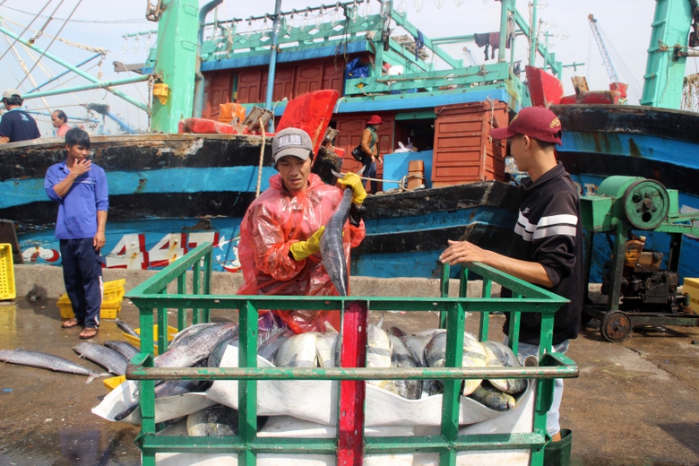 Ngu-dan-Da-Nang-trung-dam-loc-bien5