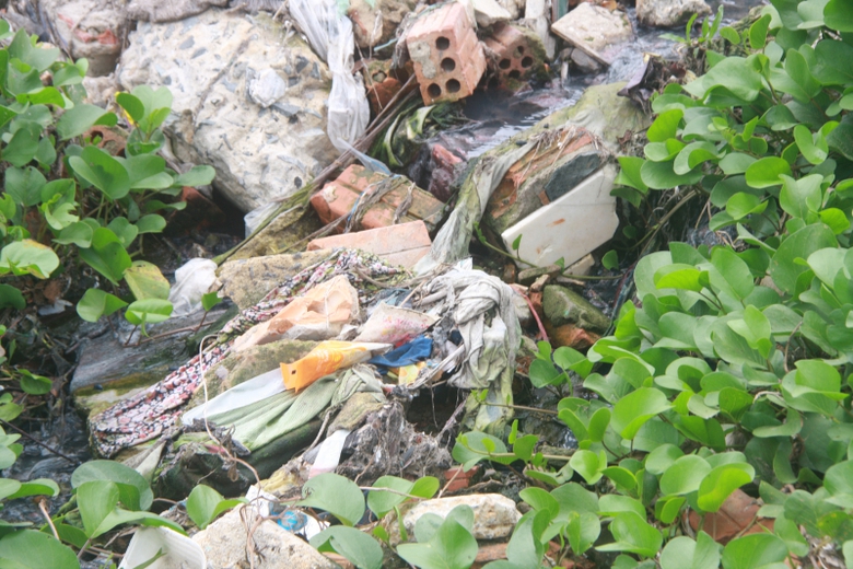 Nuoc-thai-den-boc-mui-thoi-do-ra-bai-bien-Nam-5