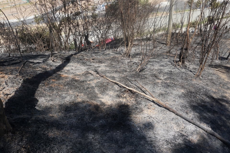 Chua-chay-duoi-tiet-troi-do-lua-1