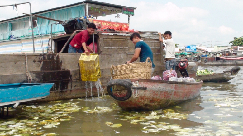 6e652e56a37b4d25146a