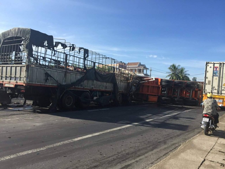 21875542_1672704142753820_762948215_o