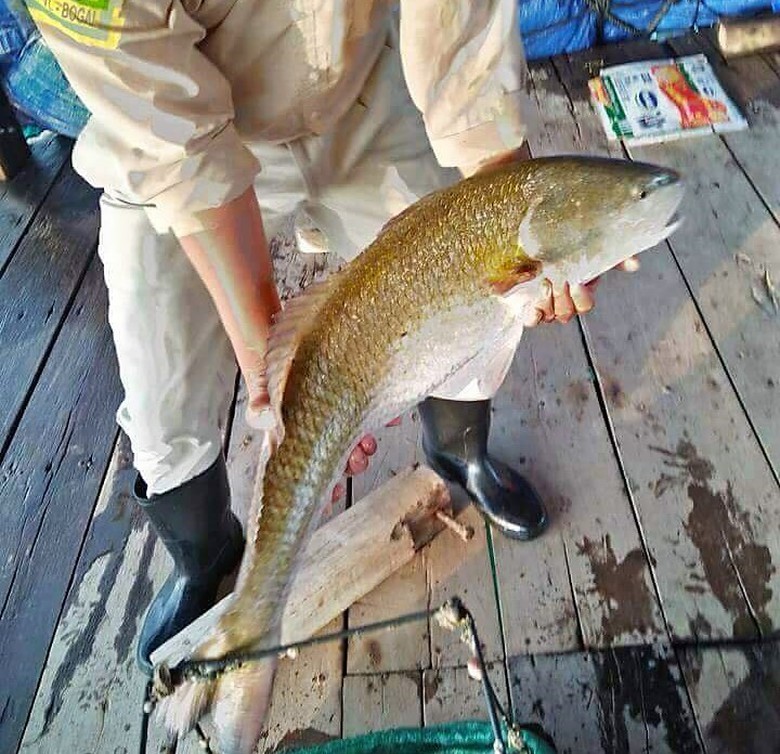 29004031_1765320370198335_874337656_n