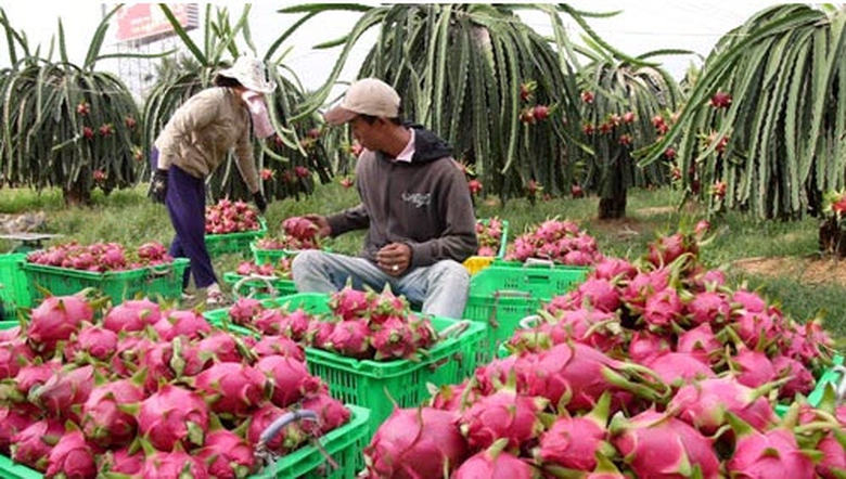 dan-trong-thanh-long-keu-troi-phi-bao-tri-thiet-bi