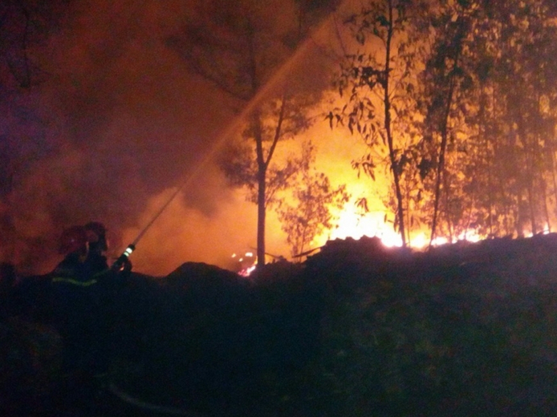 17903926_1898555723752275_7856953359651237519_n