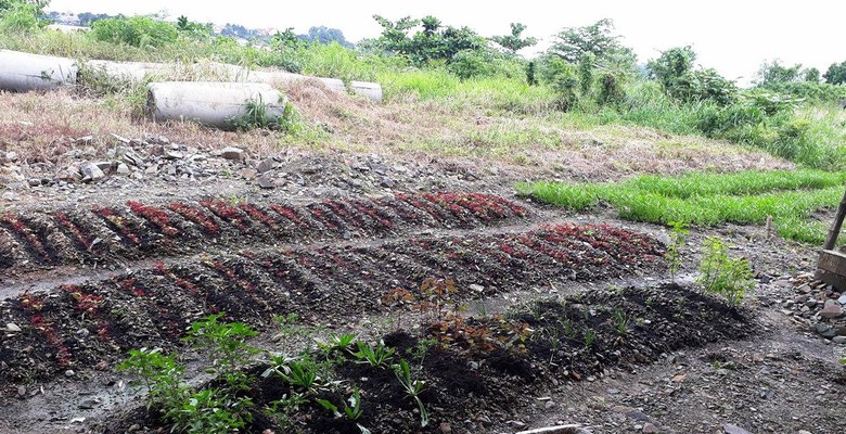 20447023_681353788740309_440356476_o