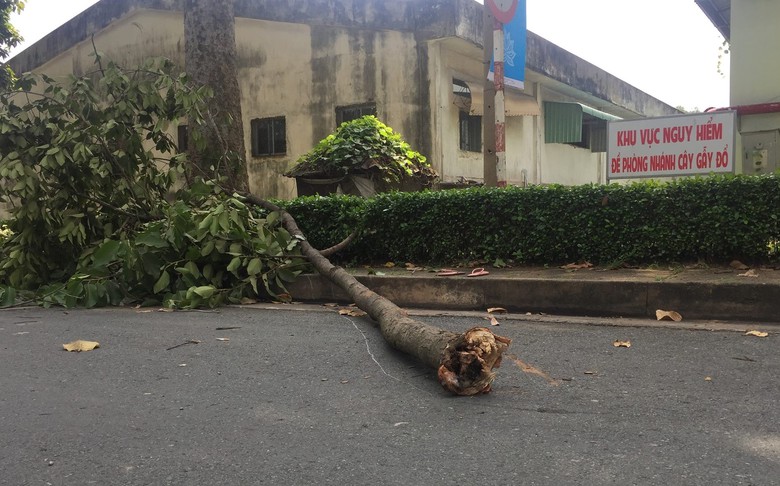 20684506_1268413486618165_1174732858_o