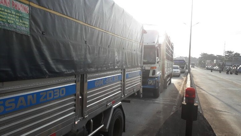 21469546_1503021286431665_396009488_n