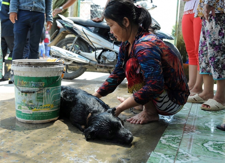 22396826_878250852337354_375502913_o