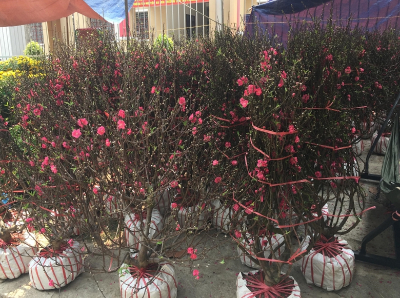 27989708_1615018725272296_1780138337_o