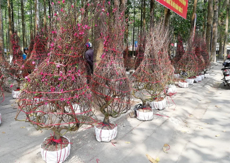 27901692_1615019355272233_2129294720_o