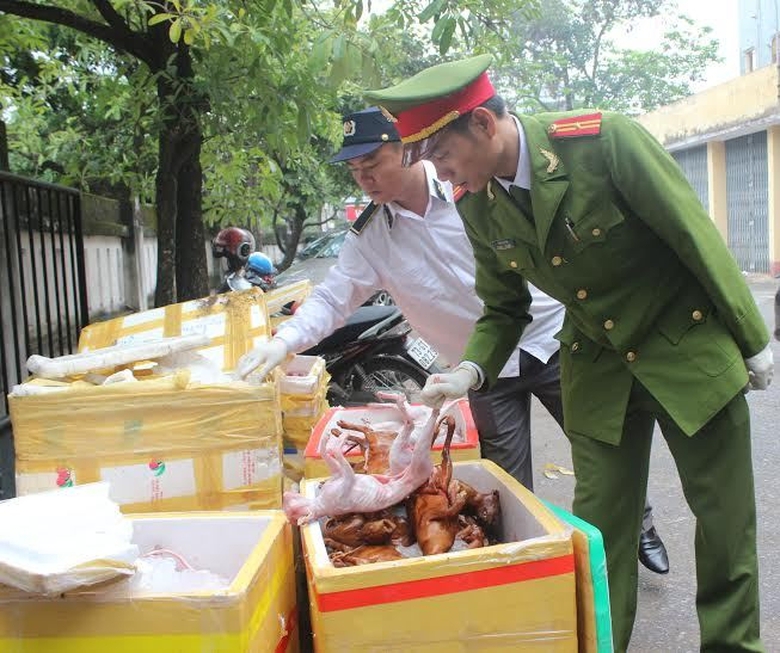 Quảng B&igrave;nh Bắt giữ xe chở động vật kh&ocirc;ng r&otilde; nguồn 