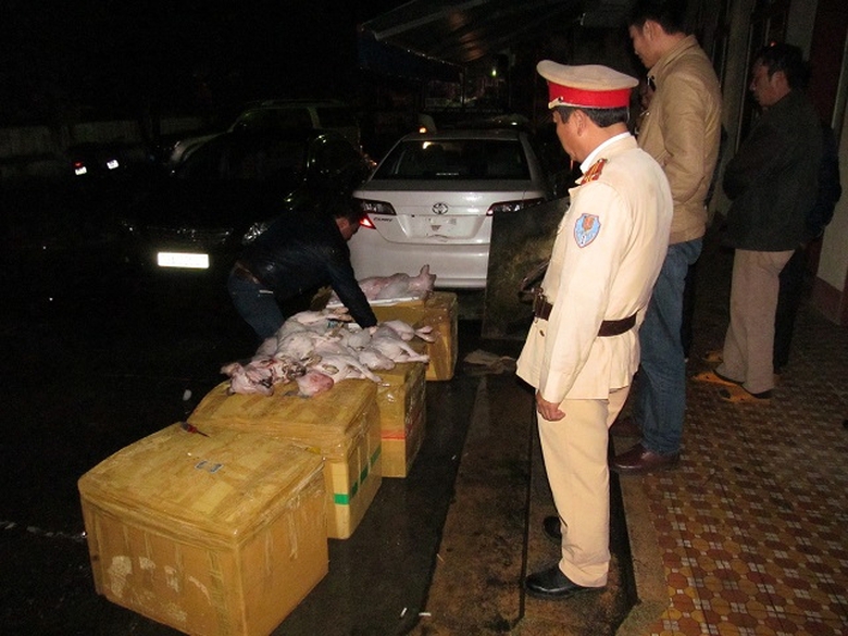 Quảng B&igrave;nh Hơn 3 tạ thịt ch&oacute; đ&ocirc;ng lạnh nhồi trong 