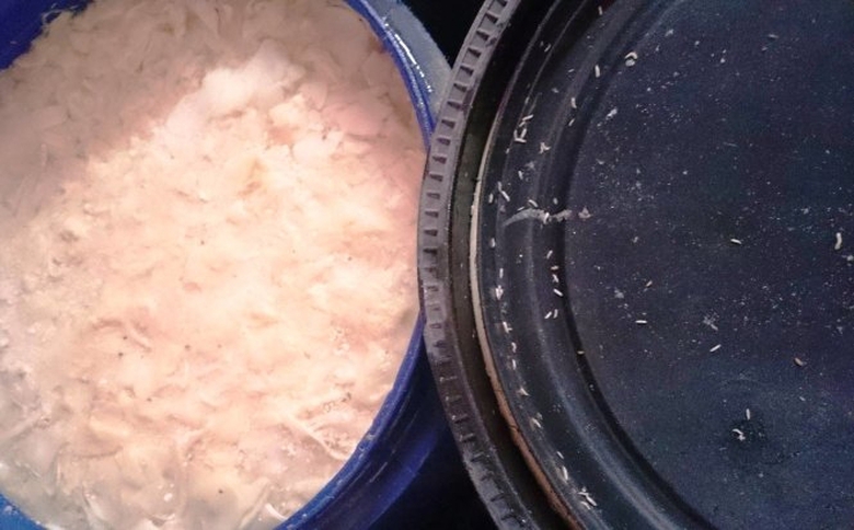 35 tấn măng h&ocirc;i thối, c&oacute; gi&ograve;i vừa được ph&aacute;t hiện ở