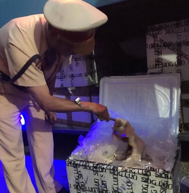 13224103_10205518421554786_821273591_o