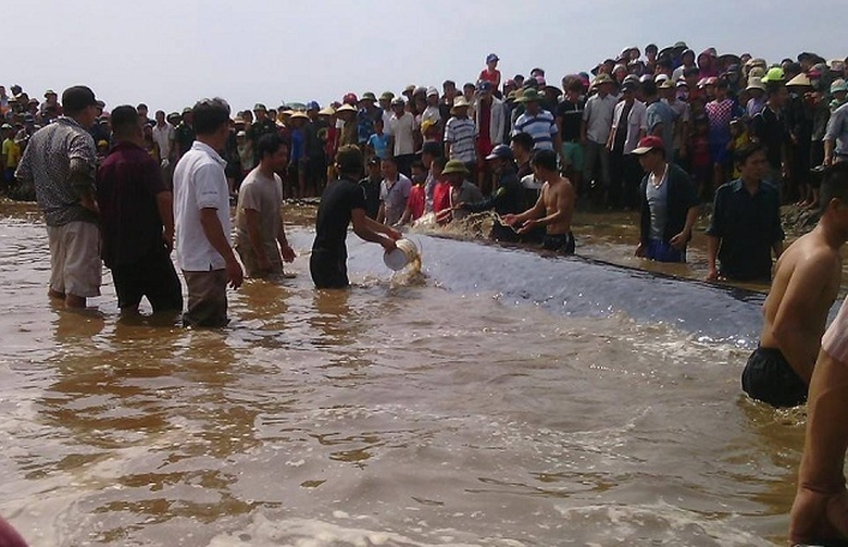 13237635_10205567967753410_9066845974659849054_n