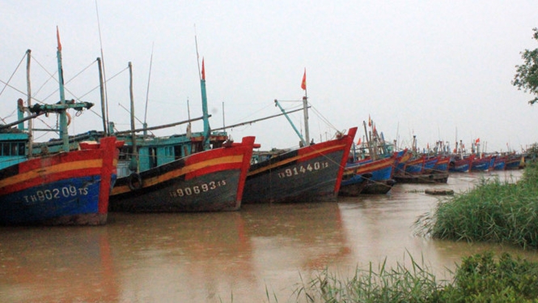 tau thuyen tranh bao