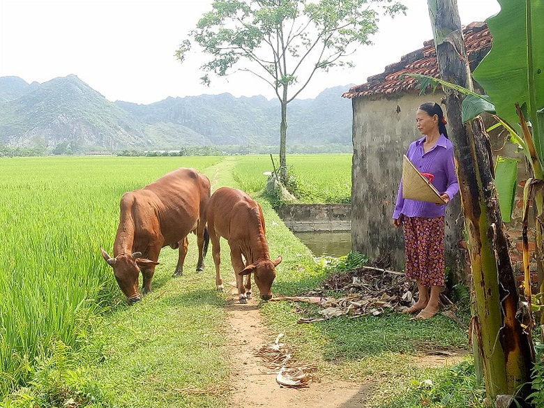 Những bệnh nh&acirc;n ung thư ngh&egrave;o v&ugrave;ng đất Thanh H&oacute;a u