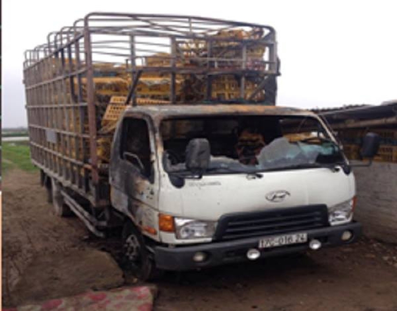 11071463_948851188473122_5350057329283032645_n