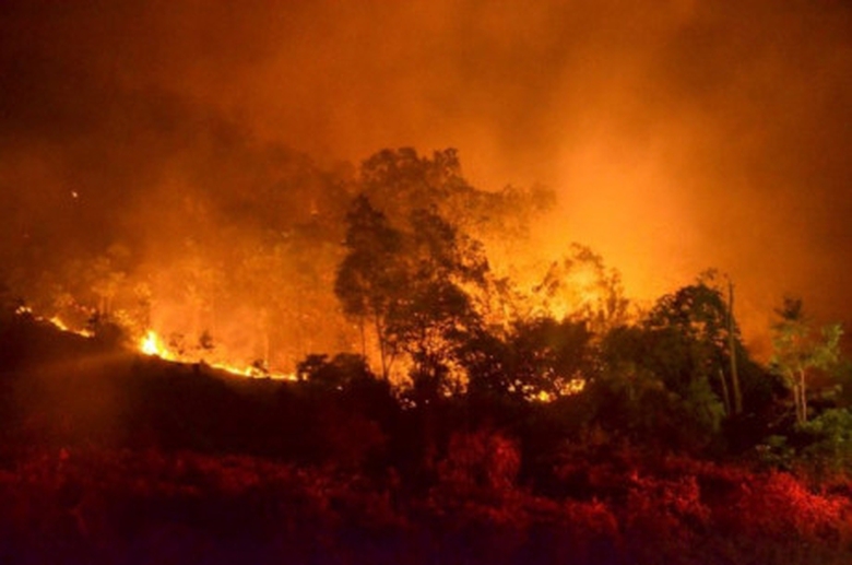 chay-rung-phong-ho-o-soc-son