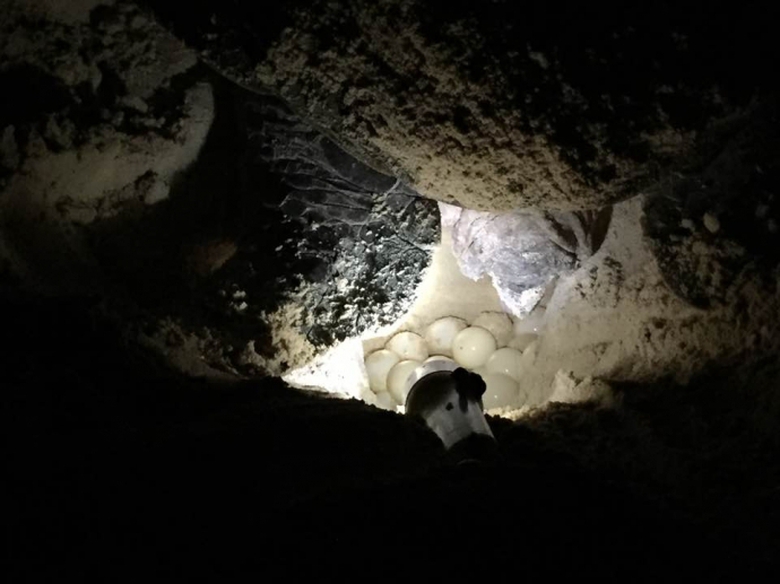 Se-khoi-to-doi-tuong-trom-116-qua-trung-vich-tai-c