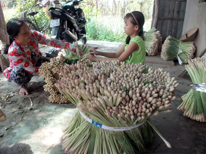 gia-thit-lon-gia-sa-giam-sau-gia-usd-gia-vang-tang