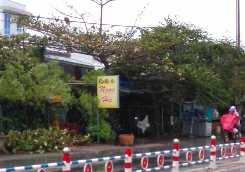 bat-qua-tang-quan-ca-phe-to-chuc-mua-ban-dam