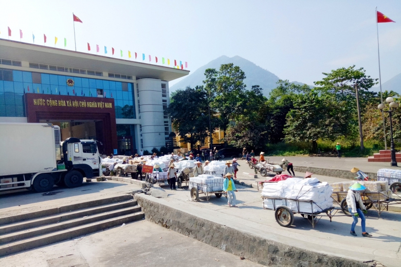 1bc3e0fbc210214e7801