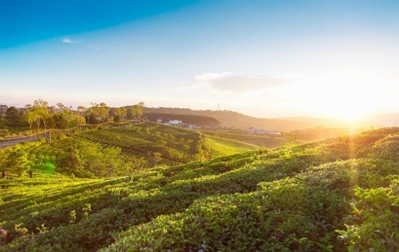 San-may-da-lat-mua-suong-bac-mytour-18(1)