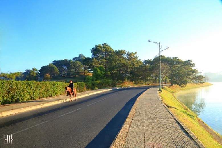 Đ&agrave; Lạt Trong T&ocirc;i (445)