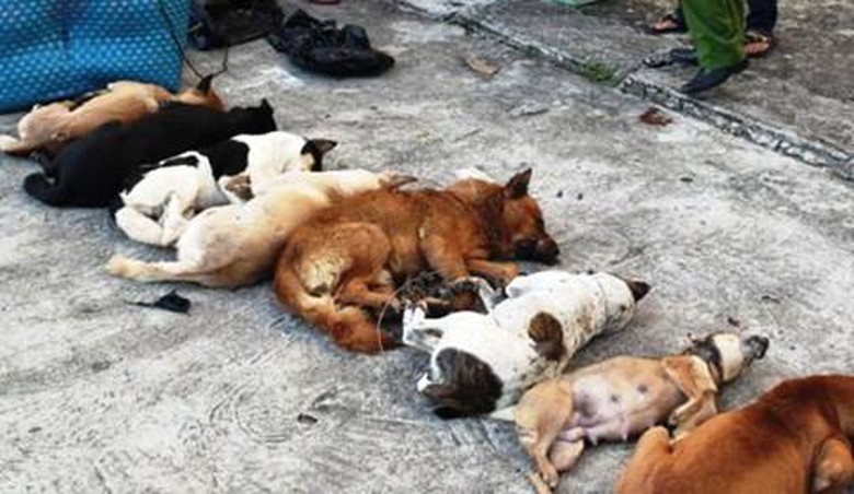 090252-22500776_909210085884386_1514947421_n