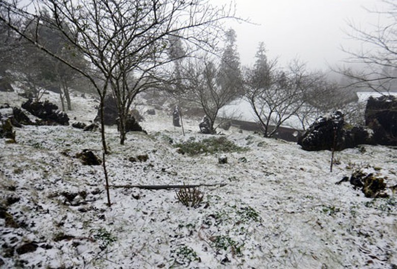 R&eacute;t-đậm-r&eacute;t-hại-k&eacute;o-d&agrave;i-đến-271