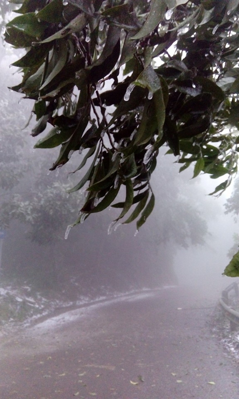 12540916_599256386890267_1435351936465471247_n