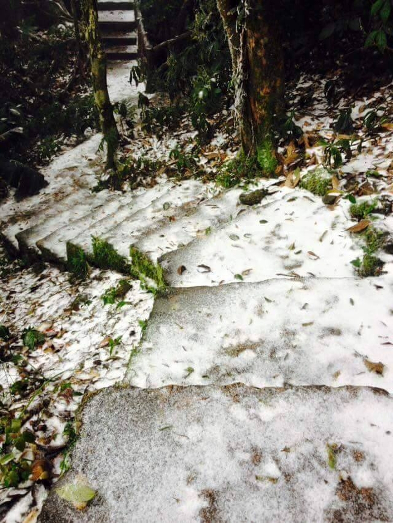 12565399_861935910593816_7647676558086992462_n