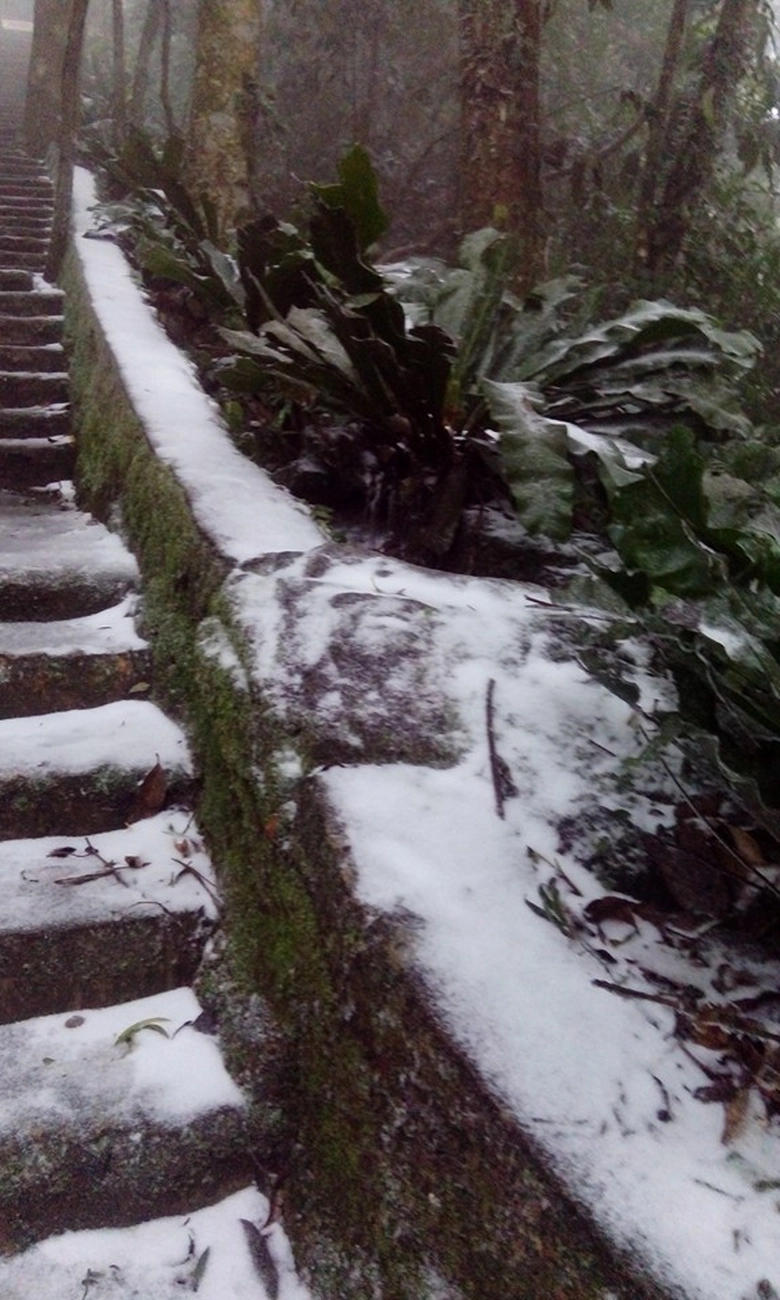 12565615_599256366890269_377541536829491633_n