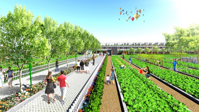 C&ocirc;ng vi&ecirc;n vườn rau sạch rộng 11.054 m2