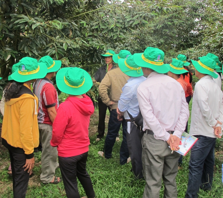 Chủ vườn chia sẻ kinh nghiệm 1