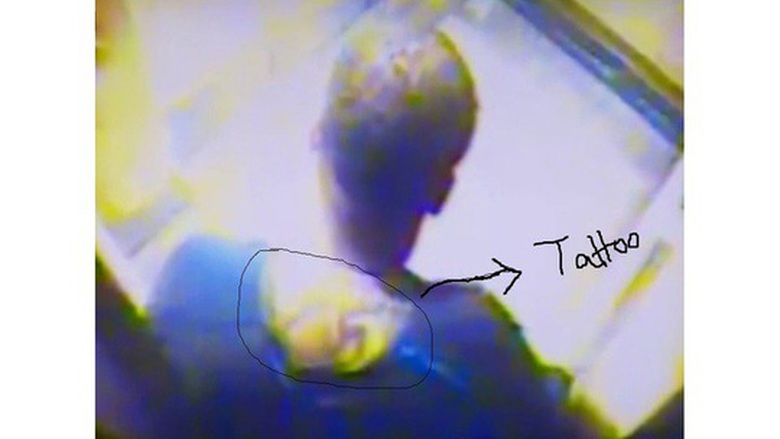 photo-1-15283335865491321478403