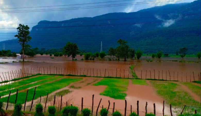 Ảnh chụp M&agrave;n h&igrave;nh 2018-07-25 l&uacute;c 10.22.50