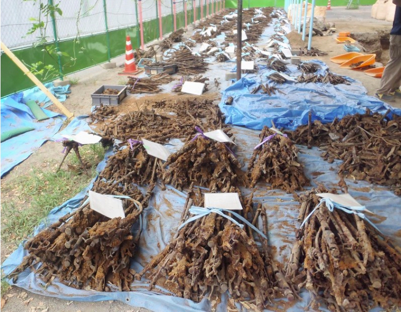 Ảnh chụp M&agrave;n h&igrave;nh 2018-08-07 l&uacute;c 10.15.21