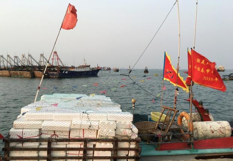 Trung Quốc huấn luyện quân sự ngư dân đ