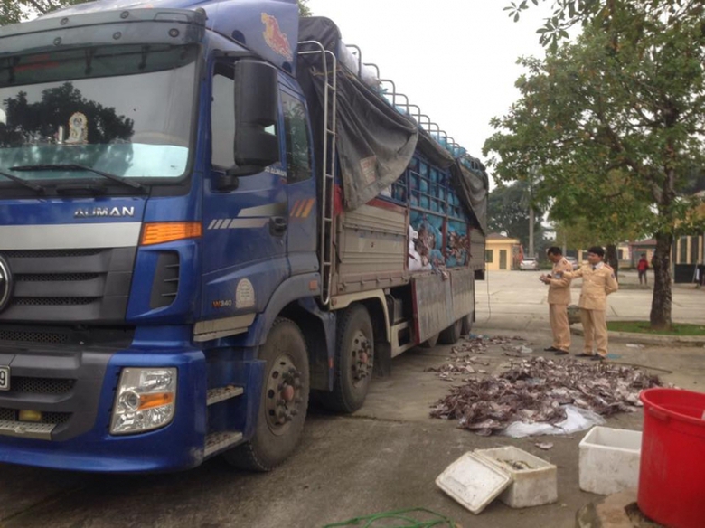 Hơn- 20 -tấn- mực- bốc- m&ugrave;i- lọt- qua- nhiều- tỉnh