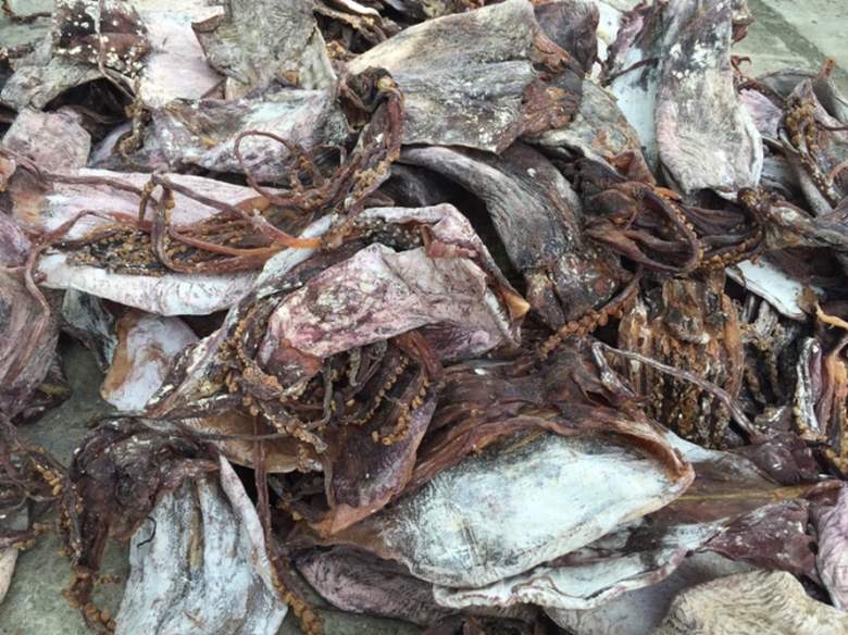 Bắt- giữ- xe- tả-i đang- nh&eacute;t- hơn- 21- tấn- mực- 