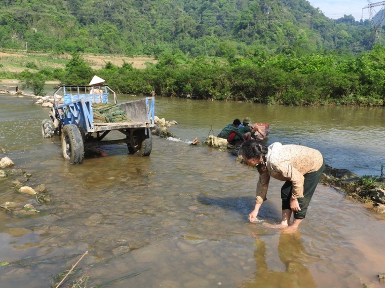 Khoảng- 1- tấn- c&aacute;- chết- nổi- tr&ecirc;n- s&ocirc;ng- Bưởi.jp