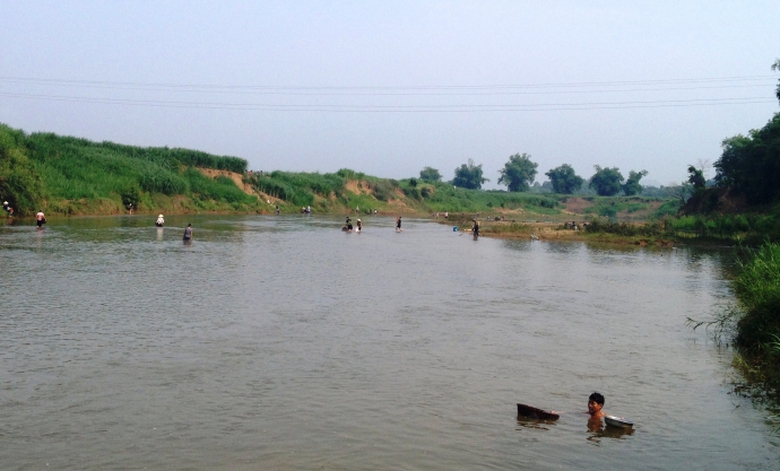 C&aacute;- tr&ecirc;n- s&ocirc;ng- Bưởi- lại- tiếp- tục- chết (1)