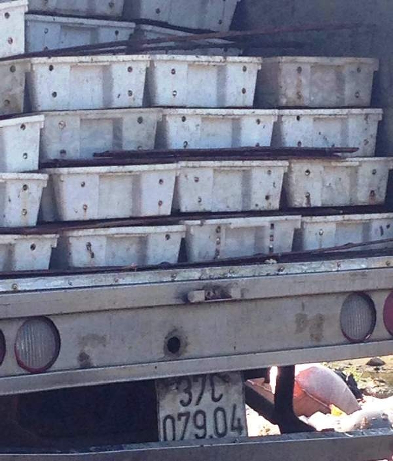 Bắt- xe -tải- chở- 3- tấn- c&aacute;- đang- ph&acirc;n- hủy- đi